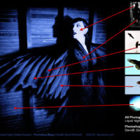 LiquidNight_Bird_SOURCE_02252012