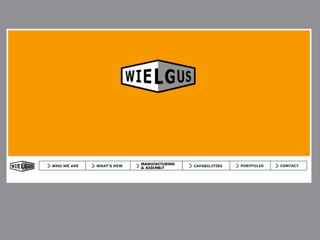 wielgus2009